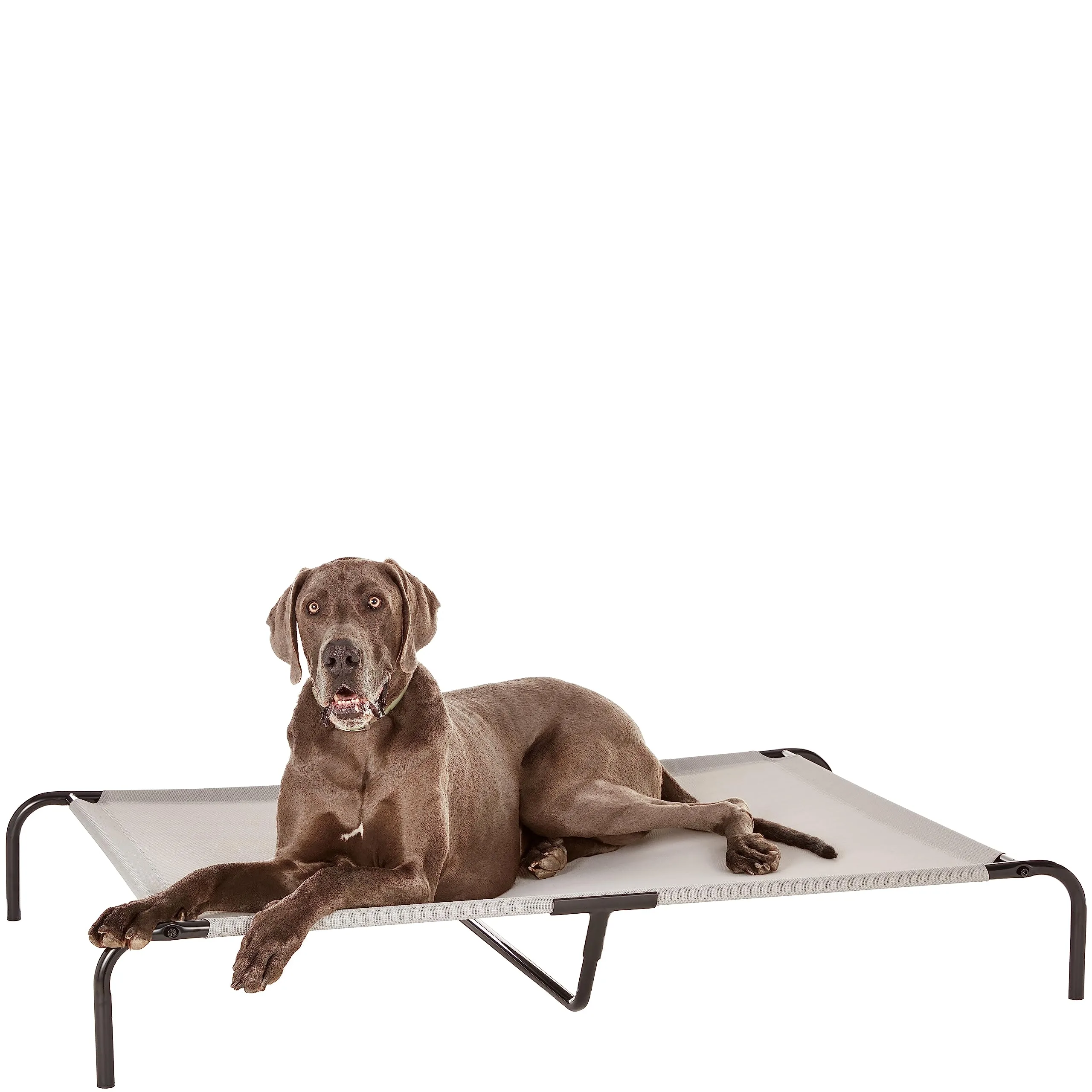 Amazon Basics Elevated Cooling Pet Bed image 2