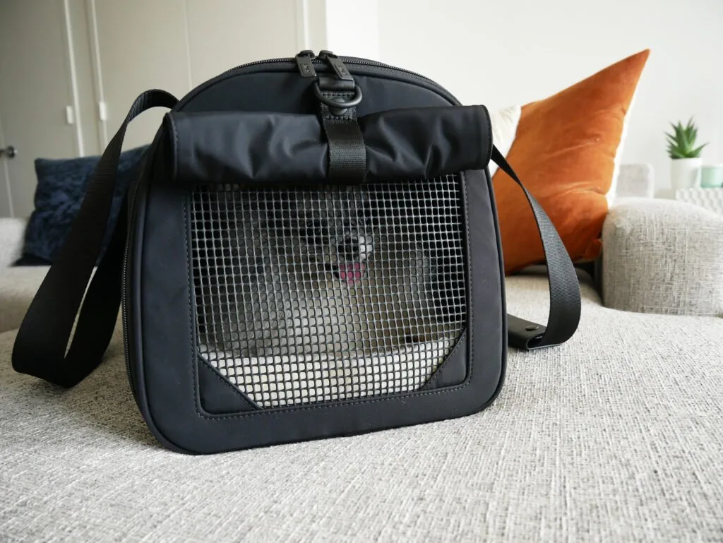 Away The Pet Carrier image 2
