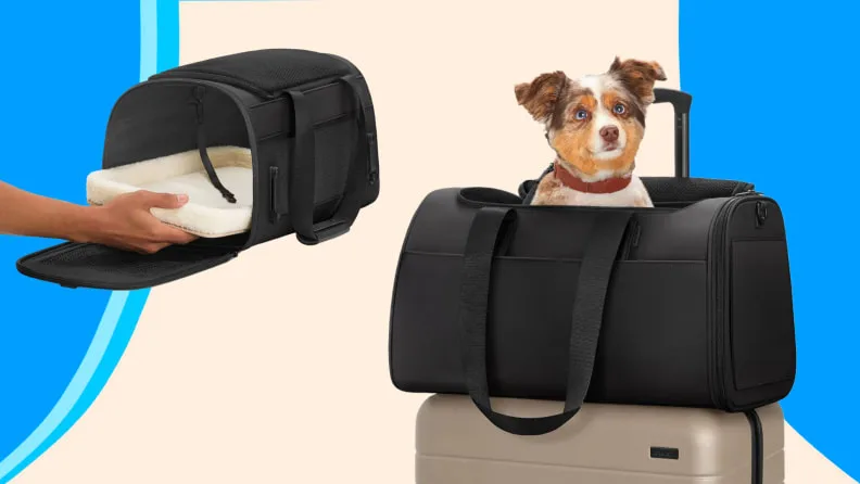 Away The Pet Carrier image 3