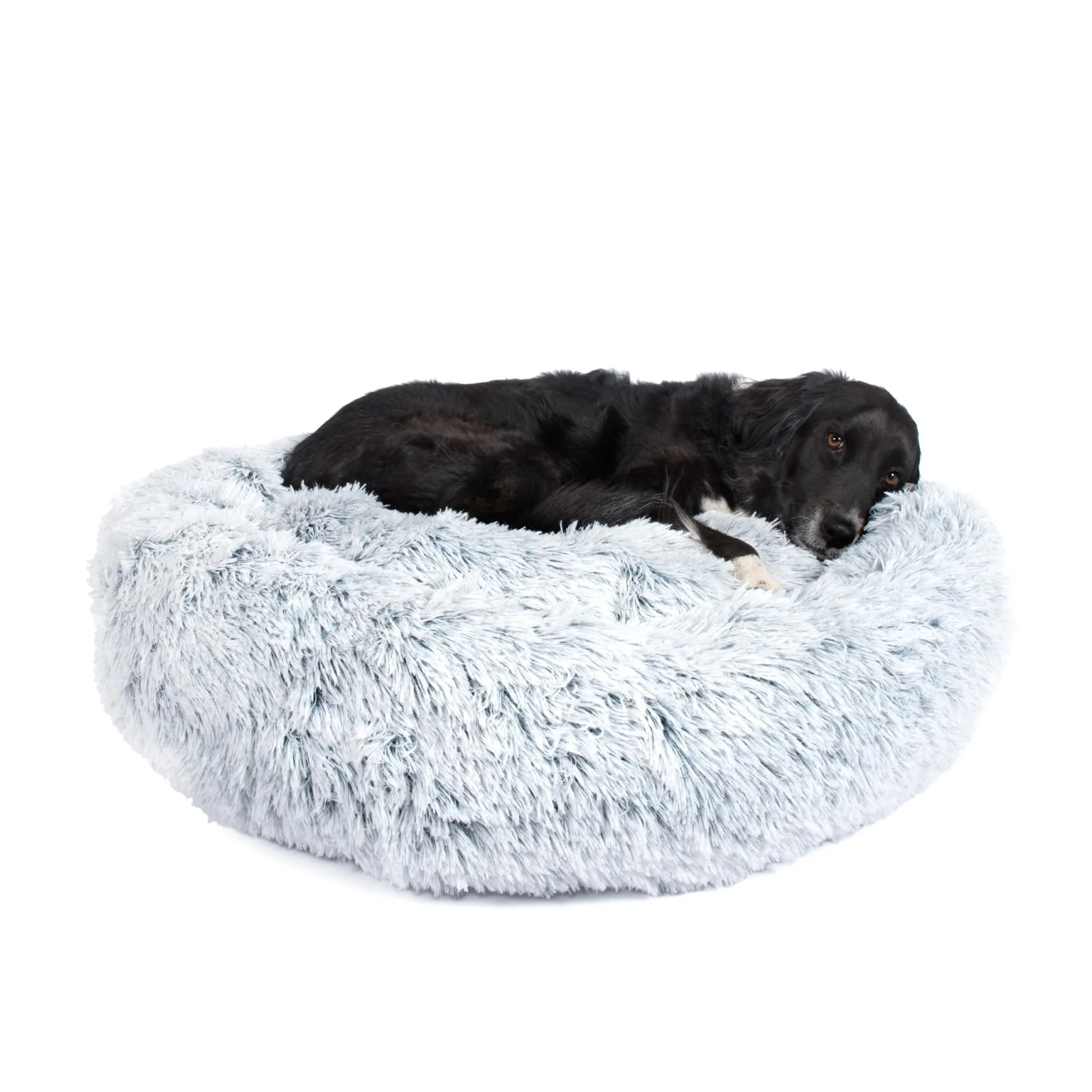 BARK Rectangle Memory Foam Dog Bed image 3