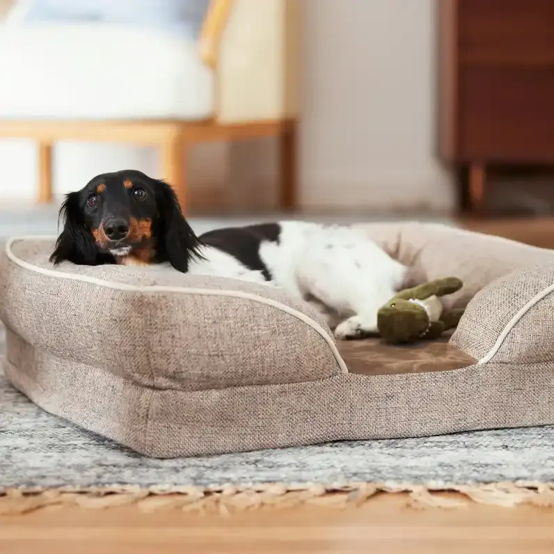 Frisco Plush Orthopedic Front Bolster Dog Bed