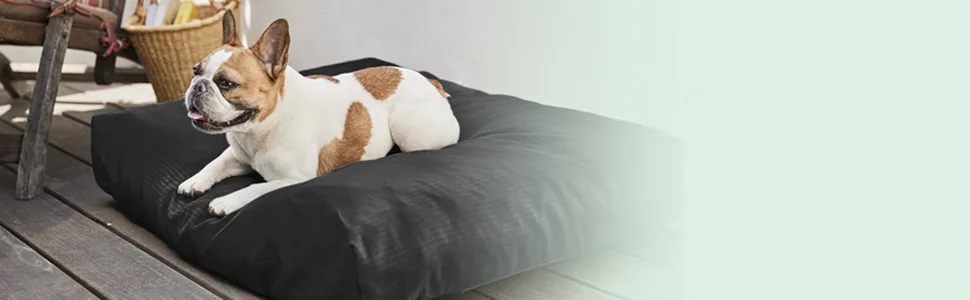 K9 Ballistics Elevated Tough Dog Bed image 2