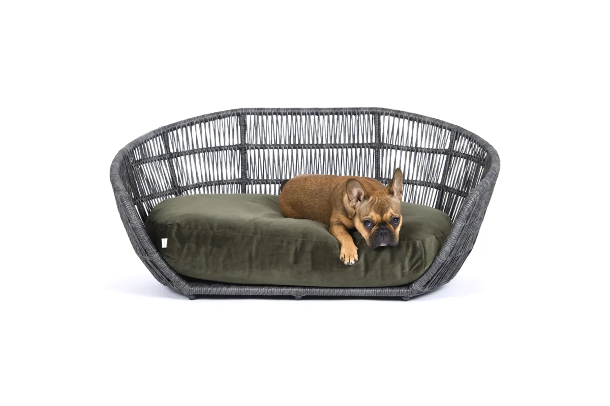 Laboni Classic Dog Bed image 2