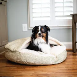 Mammoth Pet Products Memory Foam Dog Bed