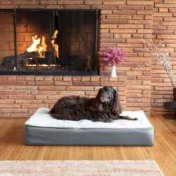 Mammoth Pet Products Memory Foam Dog Bed image 2