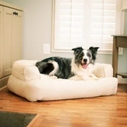 Mammoth Pet Products Memory Foam Dog Bed image 3