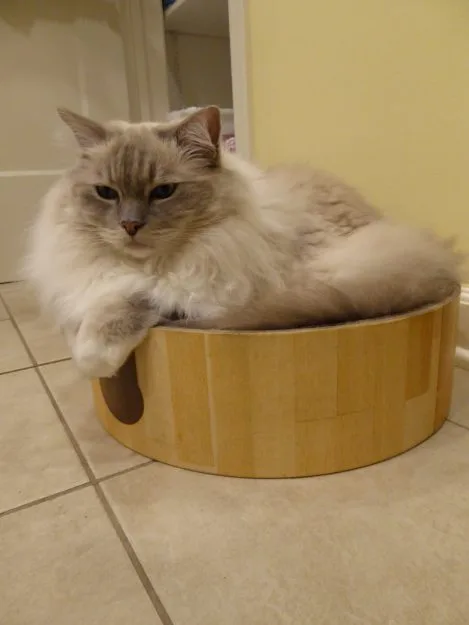 Necoichi Cozy Cat Bed image 2